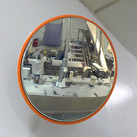 Food Processing Mirrors