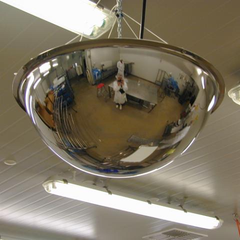 500mm Stainless Steel Ceiling Dome